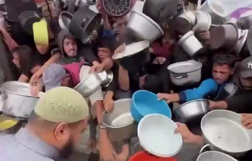 Thumbnail preview image for the video titled: Painful scenes from the starvation war in Gaza Strip !