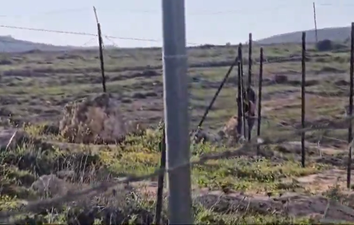Thumbnail preview image for the video titled: 8 masked settlers attacked residents in Susiya with stones