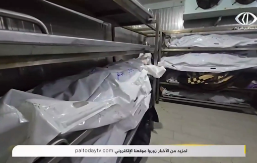 Thumbnail preview image for the video titled: Family killed in midnight Israeli airstrike on their tent