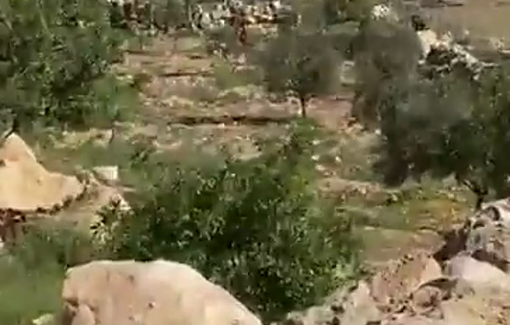 Thumbnail preview image for the video titled: Israeli soldiers and settlers have detained Palestinian shepherds in Al Derat village