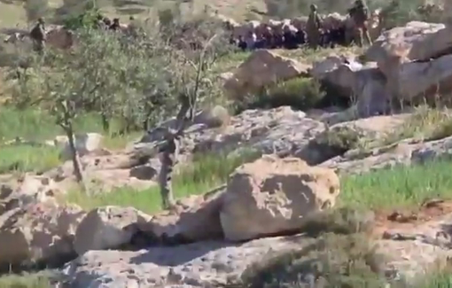 Thumbnail preview image for the video titled: Israeli soldiers and settlers detaining Palestinian shepherds in Al Derat village
