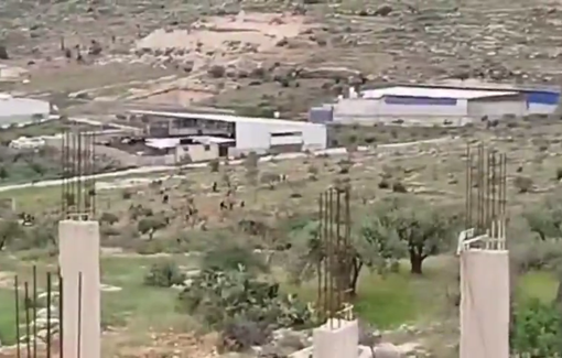 Thumbnail preview image for the video titled: More than 300 Israeli settlers set fire to Palestinian vehicles and agricultural lands