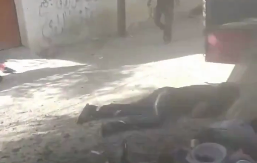 Thumbnail preview image for the video titled: Massacre scene at the Ghanem family house bombed by Israel during displacement