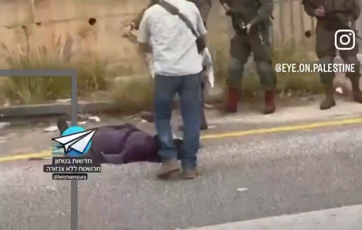 Thumbnail preview image for the video titled: The Israeli soldeirs killed a Palestinian woman near the Junction of Haris village near Salfit