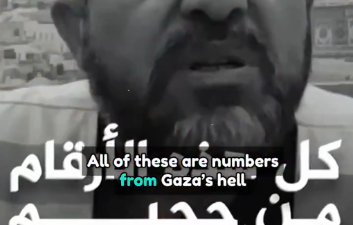 Thumbnail preview image for the video titled: The real numbers of the hell of Gaza