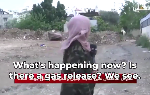 Thumbnail preview image for the video titled: Israeli soldiers assaulted a Palestine TV crew reporting from Jenin