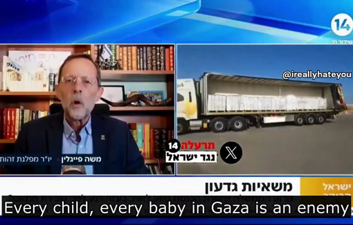 Thumbnail preview image for the video titled: "Every child, every baby in Gaza is an enemy"