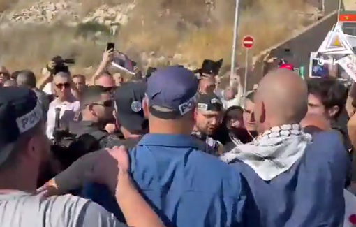 Thumbnail preview image for the video titled: Israeli police detained a Palestinian protester in Umm al-Fahm during a rally against Israel’s ongoing assault on Gaza