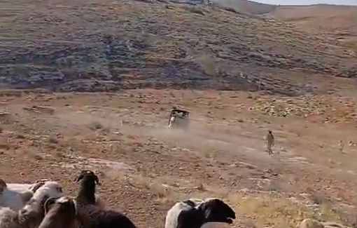 Thumbnail preview image for the video titled: Settlers evict Palestinian shepherds in Ma’in from their land using an ATV