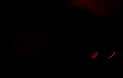 Thumbnail preview image for the video titled: Madleen, the Gaza Free Flotilla vessel, under Israeli arrest in International waters