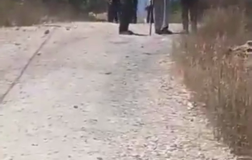 Thumbnail preview image for the video titled: Settlers, protected by Israeli army, attack Palestinian lands in the outskirts of the town of Beita