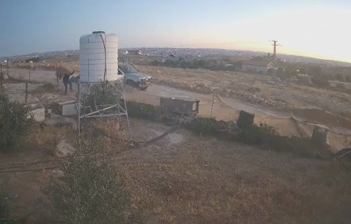 Thumbnail preview image for the video titled: Israeli settlers looting the content of a Palestinian house in Susiya