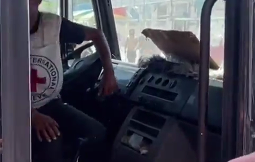 Thumbnail preview image for the video titled: 10 newly freed Palestinian prisoners from Gaza arrived at Al-Aqsa Martyrs Hospital in Deir al-Balah after months of detention