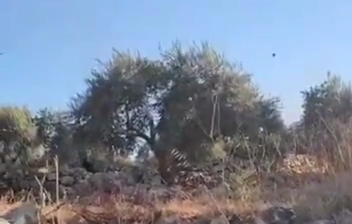 Thumbnail preview image for the video titled: Israeli settlers have reportedly opened fire on Jabal Bir Qouza village in the town of Beita, south of Nablus.