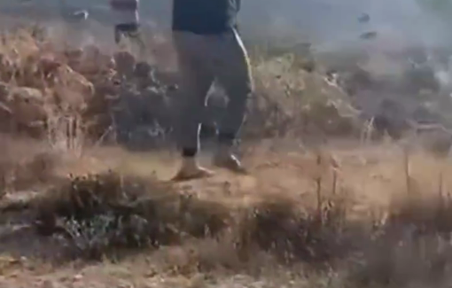 Thumbnail preview image for the video titled: Israeli Settlers storm the Bir Qoza Mountain area, located on the outskirts of the town of Beita, south of Nablus