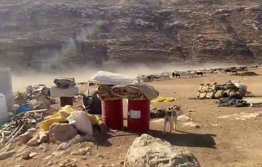Thumbnail preview image for the video titled: Settlers arrived at Wadi Tirran and also evicted flocks there, riding ATVs and a horse