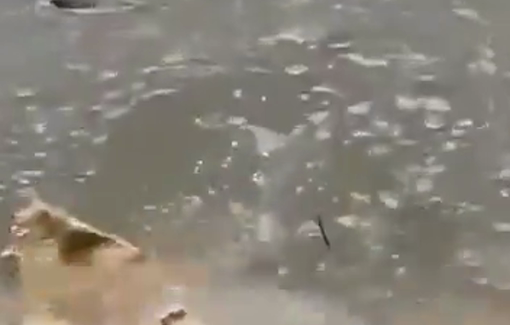 Thumbnail preview image for the video titled: Israeli forces cut off the water supply to the village of Umm Safa