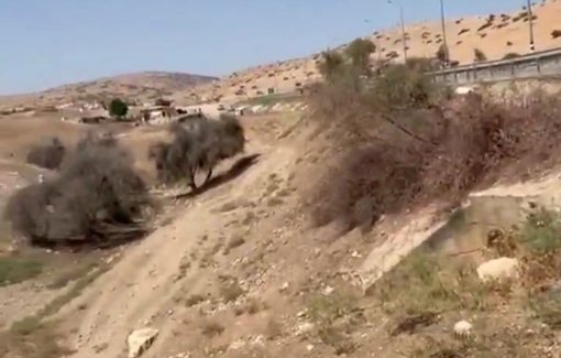 Thumbnail preview image for the video titled: Testimony of a Jordan Valley activist present in Ein al-Hilweh during demolitions by Israeli authorities