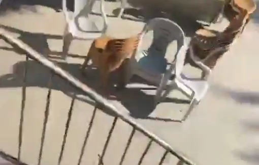 Thumbnail preview image for the video titled: Armed Israeli extremist settlers, backed by soldiers and police, raiding homes in al-Tuwani