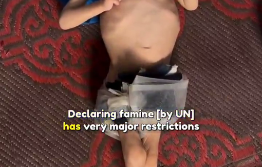 Thumbnail preview image for the video titled: Callous UN criteria require 480 children in Gaza to die daily to declare famine