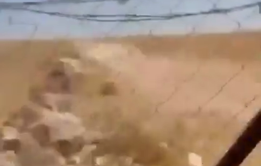 Thumbnail preview image for the video titled: An Israeli settler attempts to run over a woman in front of her children in Masafer Yatta