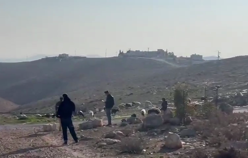 Thumbnail preview image for the video titled: Shimon Atiya & Yinon Levi invading land and courtyards of Umm al Kaïr homes