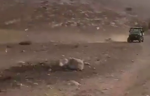 Thumbnail preview image for the video titled: Israeli settlers Kurnitz and Cohen storm Khirbet Samra with their ATV