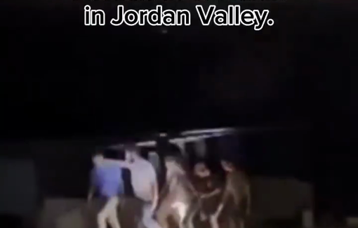 Thumbnail preview image for the video titled: Israeli settlers attacked Palestinian farmers in the Jordan Valley, killed 117 sheep, primarily by stabbing