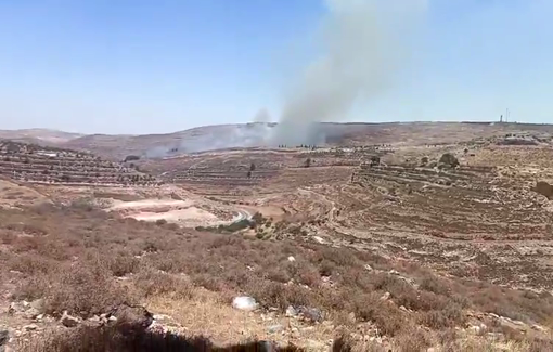Thumbnail preview image for the video titled: Settler herds set fire to a field in the village of Jourat al-Khayl, east of the town of Sa'ir