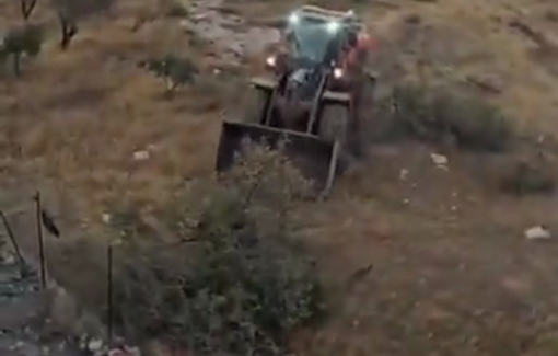 Thumbnail preview image for the video titled: Israeli bulldozers uprooted and destroyed hundreds of trees from the agricultural plains of Al-Mughayyir