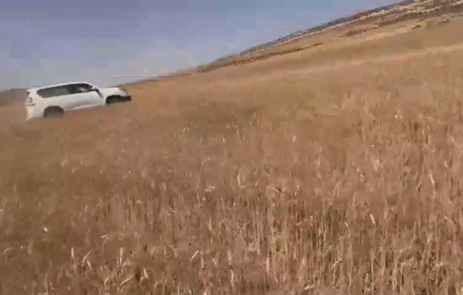 Thumbnail preview image for the video titled: Ynon Levi, armed with a pistol, and Eili Federman, harassed the residents of Wadi Tiran while they were harvesting their hay