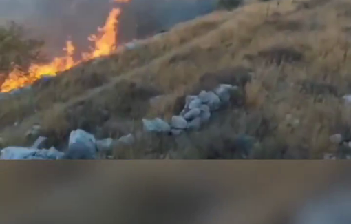 Thumbnail preview image for the video titled: Israeli settlers set fire to Palestinian farmland in Wadi Sa’ir