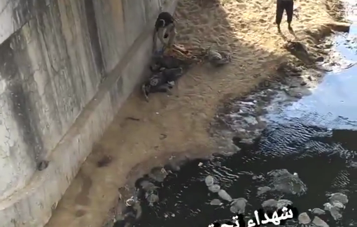 Thumbnail preview image for the video titled: Shot and killed under a bridge during displacement from Gaza City