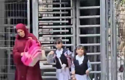 Thumbnail preview image for the video titled: In Hebron's Old City, students and teachers must pass through Israeli military checkpoints on their way to and from school