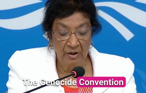 Thumbnail preview image for the video titled: Navi Pillay: "Today we witness in real time how the promise of never again is broken and tested in the eyes of the world"