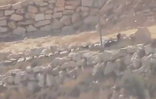 Thumbnail preview image for the video titled: The moment when Israeli settlers looted a flock of sheep in the town of Deir Jarir
