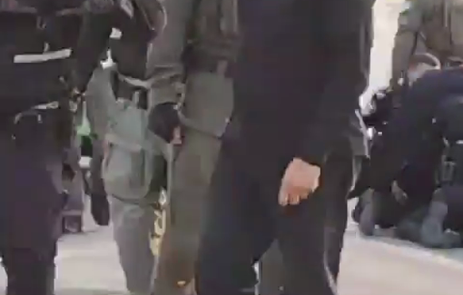 Thumbnail preview image for the video titled: Israeli Police violently dispersing an anti-genocide protest in the Palestinian (48) town of Umm al-Fahm.