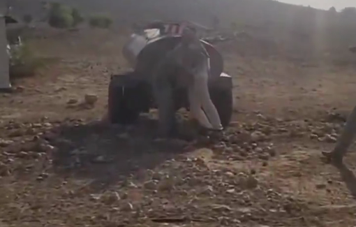 Thumbnail preview image for the video titled: Ras al-‘Ein: settlers invade Palestinian land with goats and camels, try to drain water and assault activist