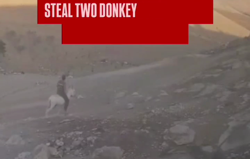Thumbnail preview image for the video titled: Settlers assault resident of Khirbet al-Hawala and blame him for donkeys they stole