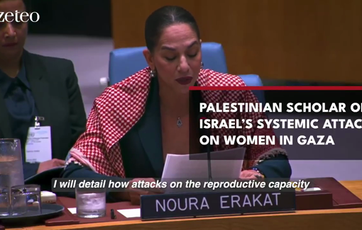 Thumbnail preview image for the video titled: Noura Erakat Sspeaks at the UN, exposing Israel’s systematic attack on women’s reproductive capacity in Gaza