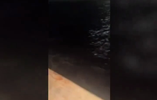 Thumbnail preview image for the video titled: Activists on board of Conscience throwing electronic devices into the sea before illegal interception by Israeli Navy