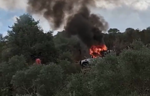 Thumbnail preview image for the video titled: The olive harvest faces attacks from Israeli settlers and soldiers against farmers and volunteers in Beita