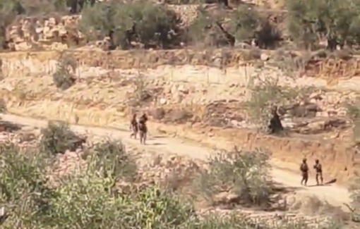 Thumbnail preview image for the video titled: Two people were injured by Israeli tear gas during olive harvest in Beita