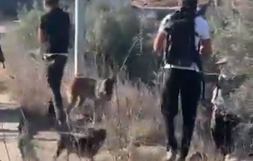 Thumbnail preview image for the video titled: Armed settlers attack activists and olive pickers in the town of Huwara
