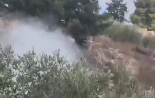 Thumbnail preview image for the video titled: Israeli soldiers fired dozens of tear gas canisters to prevent the olive harvest in Al-Nazla Al-Sharqiya
