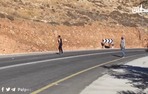 Thumbnail preview image for the video titled: Palestinians confront Israeli settlers who attempt to prevent them from harvesting their crops in Wadi Sa’ir