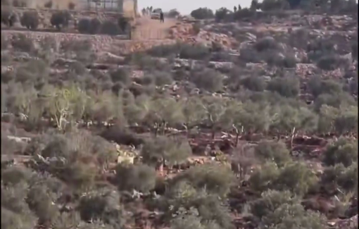 Thumbnail preview image for the video titled: Extended footage of the settler attack on Turmus’ayya