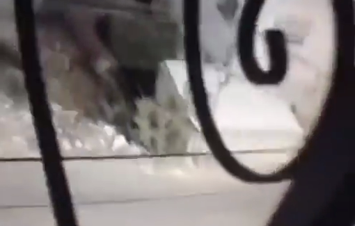 Thumbnail preview image for the video titled: Israeli forces shot a young man near the intersection of Street “10” in Nablus City