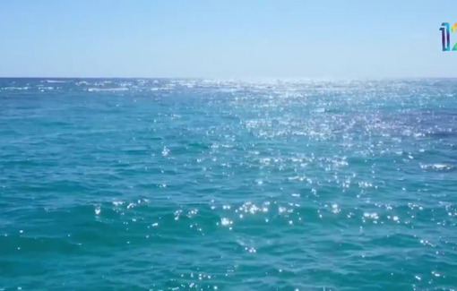 Thumbnail preview image for the video titled: Despite documented evidence of torture, Israeli Channel 12 aired an inciting and derisive report about Greta and the Sumud Flotilla