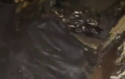 Thumbnail preview image for the video titled: Dozen of Israeli settlers set fire to homes and cars in Al Mughayyir